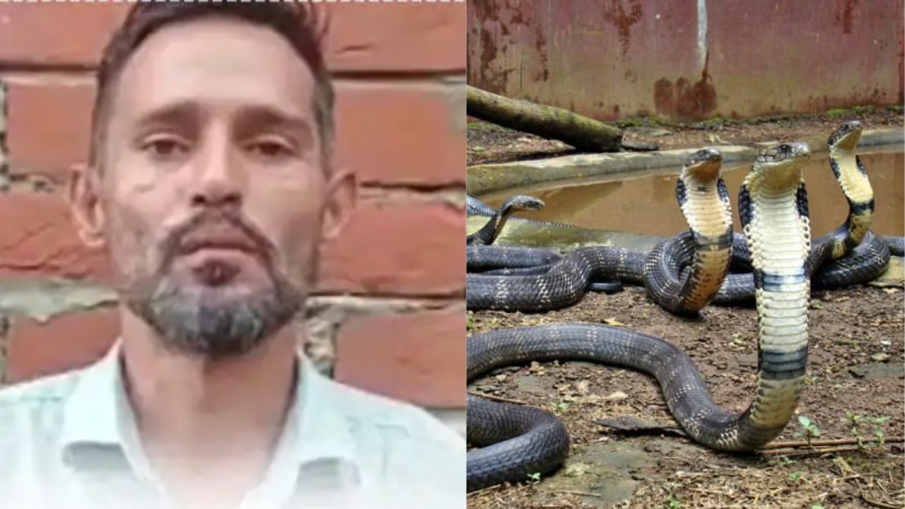 Snake Rescue Dehradun Adil
