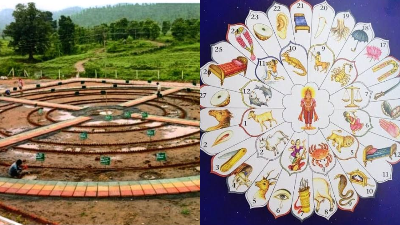 27 special plants for 27 constellations in Haldwani's Nakshatra Vatika