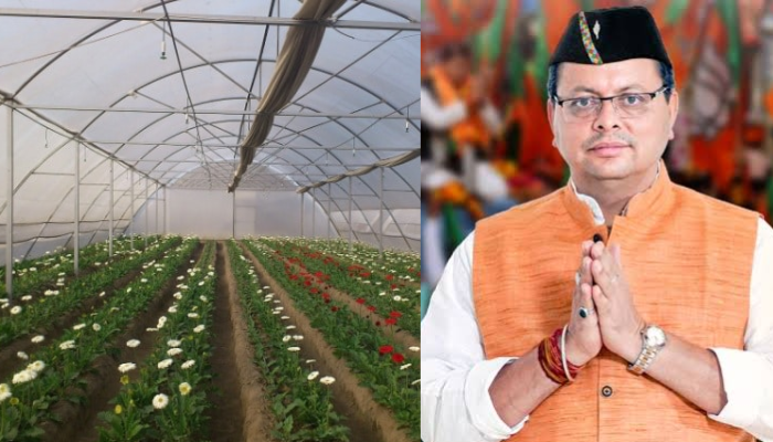 Polyhouse farming in Uttarakhand: धामी सरकार ने राज्य के किसानों को दिया तोहफा , मिलेगा 304 करोड़ रूपए की पॉलीहाउस क्लस्टर की योजना का फायदा