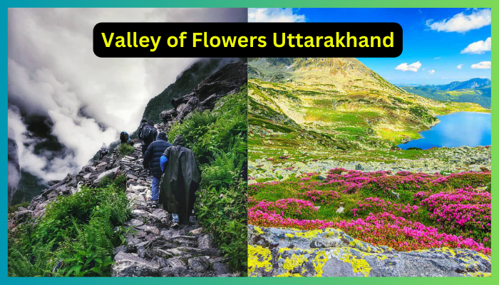 Valley of Flowers Uttarakhand: पर्यटकों के लिए खोली गयी विश्व धरोहर फूलों की घाटी, हिमखंडों को काट कर बनाया गया इस स्वर्ग का रास्ता