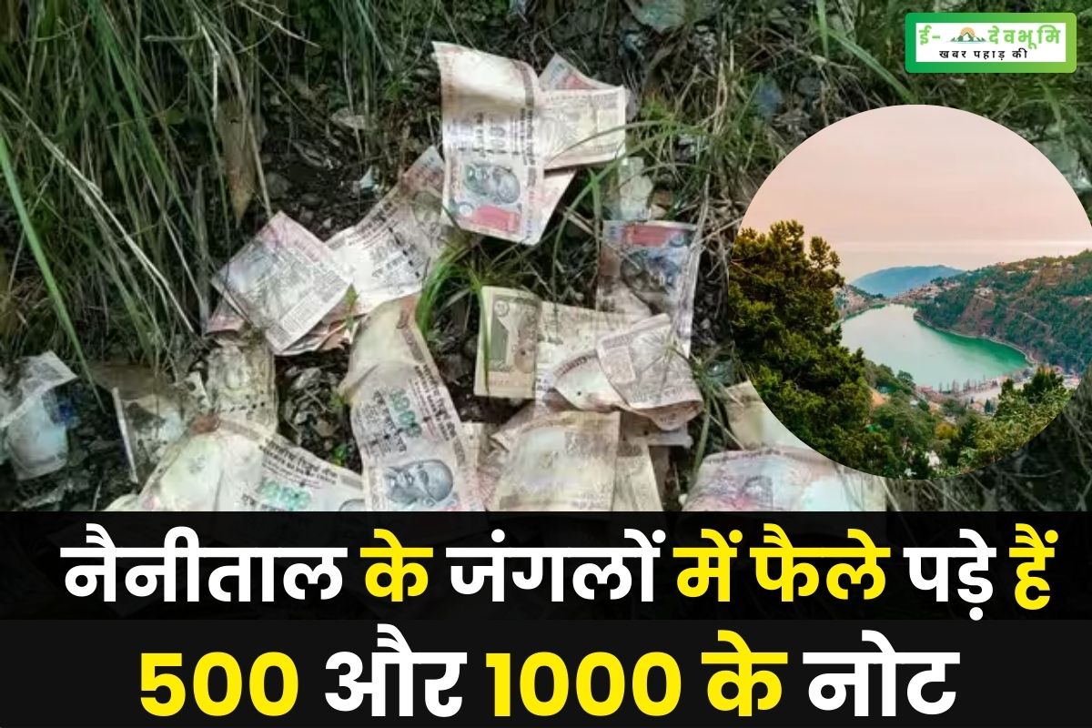 scattered in the forests of Nainital 500 and 1000 notes
