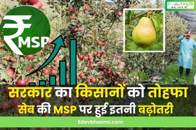 उत्तराखंड में सरकार ने किसानों को दिया तोहफा, बढ़ोतरी के साथ घोषित किए गए सेब और नाशपाती के न्यूनतम समर्थन मूल्य