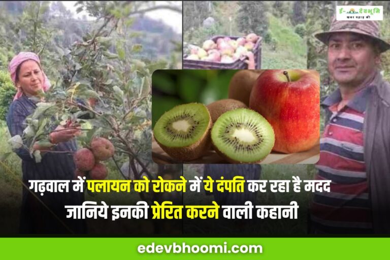 उत्तराखंड के पौड़ी जिले के इन दंपति ने सेब व् कीवी की खेती से किया कमाल, आसपास के किसानों के लिए बने प्रेरणा स्रोत