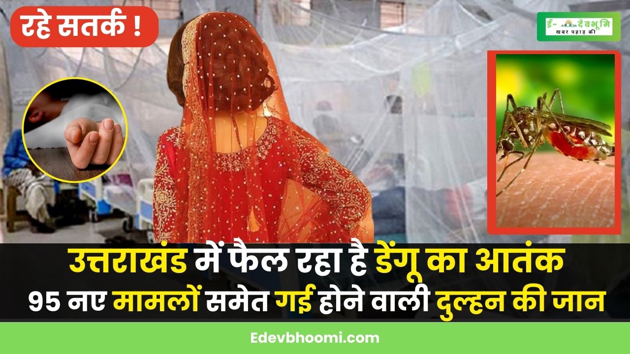 Dengue terror is spreading in Uttarakhand
