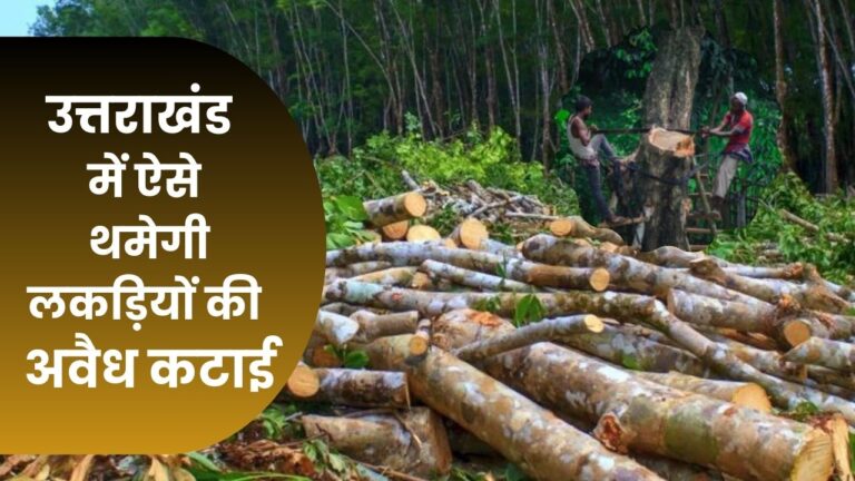 Deforestation in Uttarakhand : उत्तराखंड के जंगलों में नहीं होगी लकड़ी की अवैध कटाई, वन विभाग ने बनाया यह धांसू प्लान