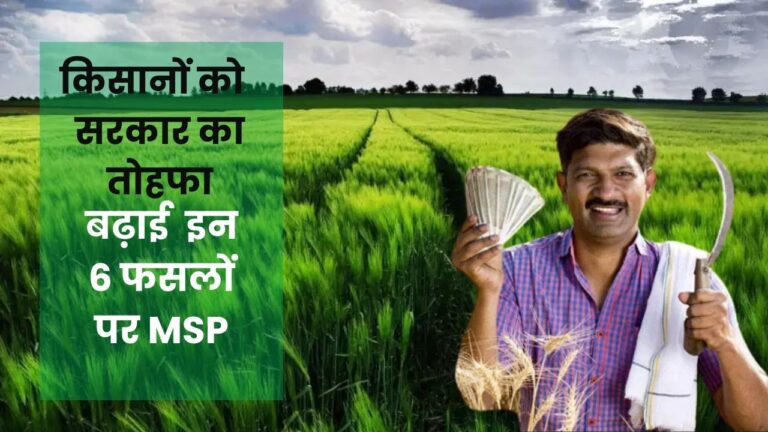 उत्तराखंड के किसानों को मोदी सरकार का तोहफा, इन 6 फसलों पर बढ़ाया गया न्यूनतम समर्थन मूल्य