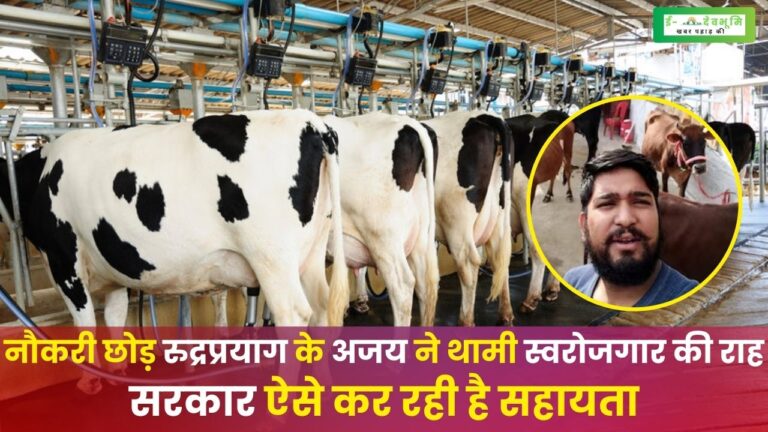 Uttarakhand Self Employment News: उत्तराखंड इस युवा ने पहाड़ों से बहा दिए दूध के झरने, MNC कंपनी की नौकरी छोड़ स्वरोजगार से कर रहे हैं अच्छी कमाई