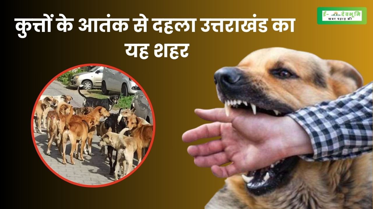 terror of dogs in uttarakhand